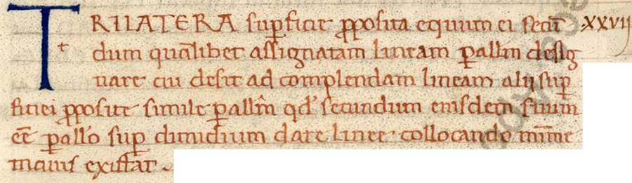 Vaticanus latinus 2224