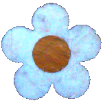Duomo di Siena, Fleur pentagonale de marbre