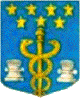 La Compagnie des Médecins apothicaires de la ville de Dinan.