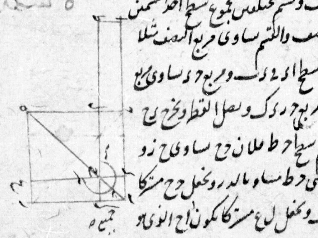 folio. 29