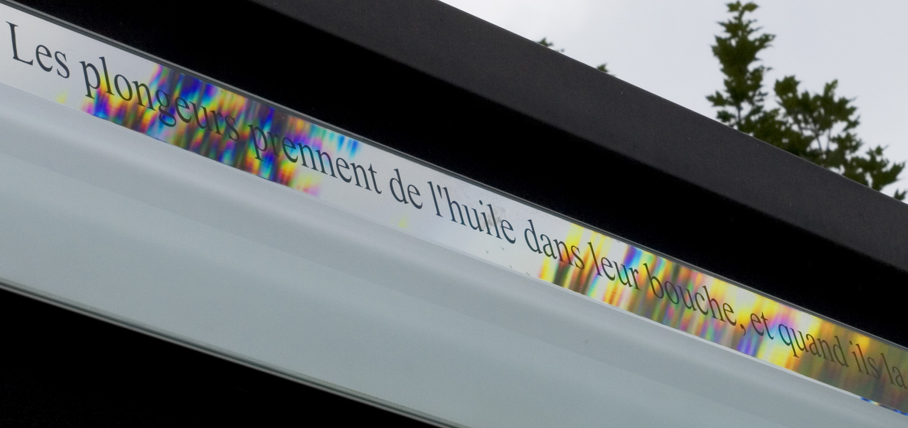 Plutarque