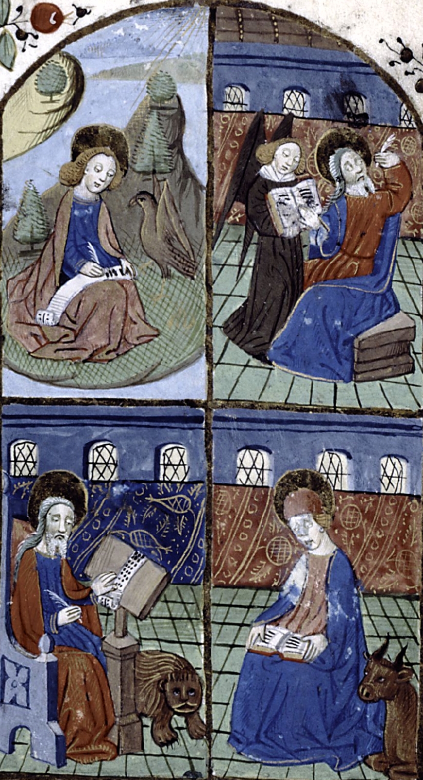 Scriptura   scrittura   escritura   écriture Schrift   skrift   writing